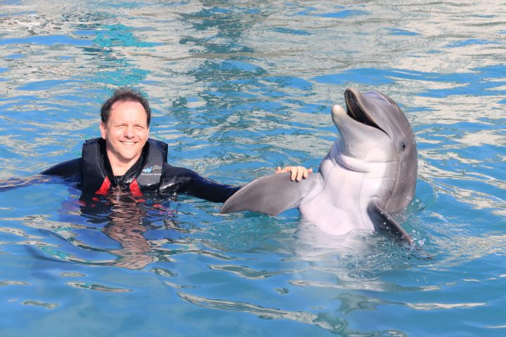 Dolphin interaction of a man wearing wetsuit in the pool.