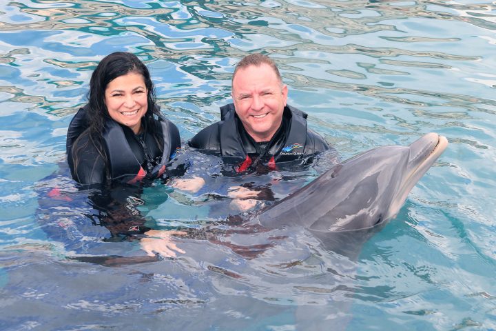 Dolphin interaction of a couple wearing wetsuits in the pool.