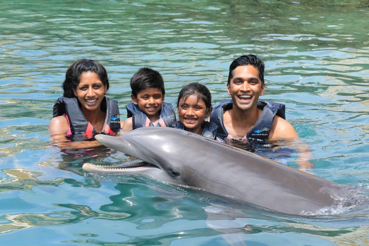 Dolphin interaction of a family wearing wetsuits in the pool.