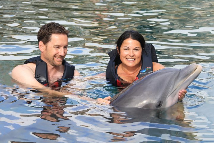 Dolphin interaction of a couple wearing wetsuits in the pool.