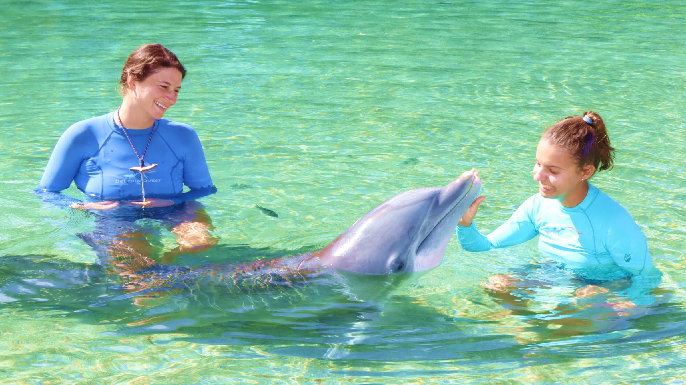 Two woman wearing wetsuits interacting the dolphin.