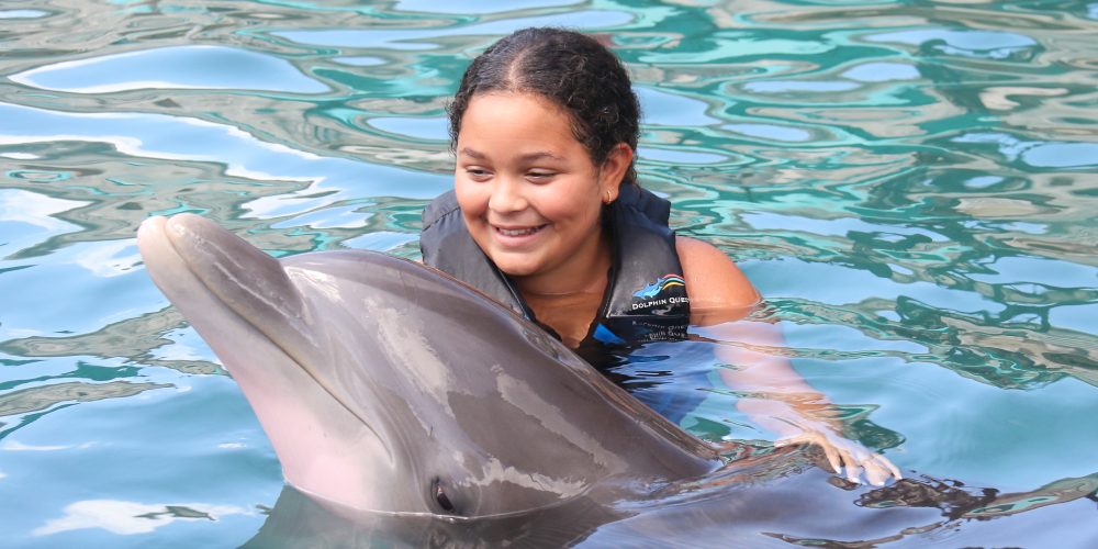 A young girl enjoying and embracing a dolphin the pool.