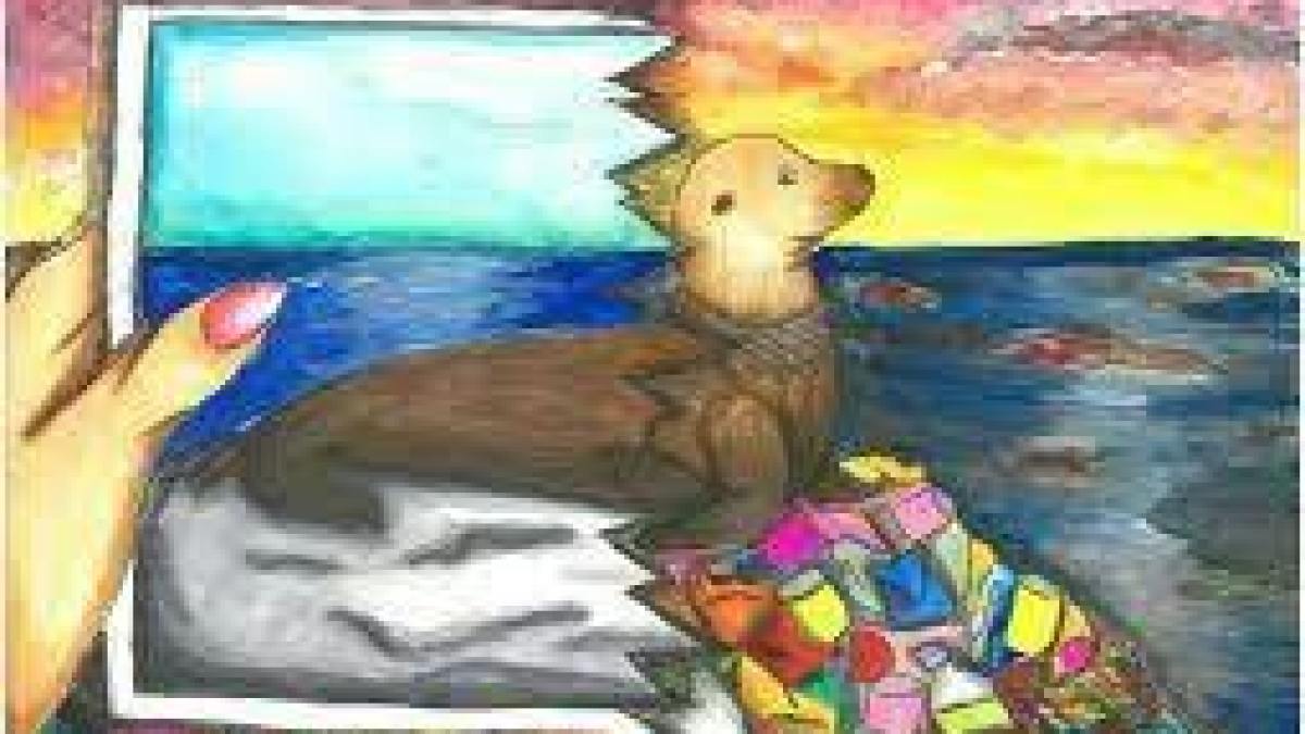 A drawing of sea lion and waste products near the sea.