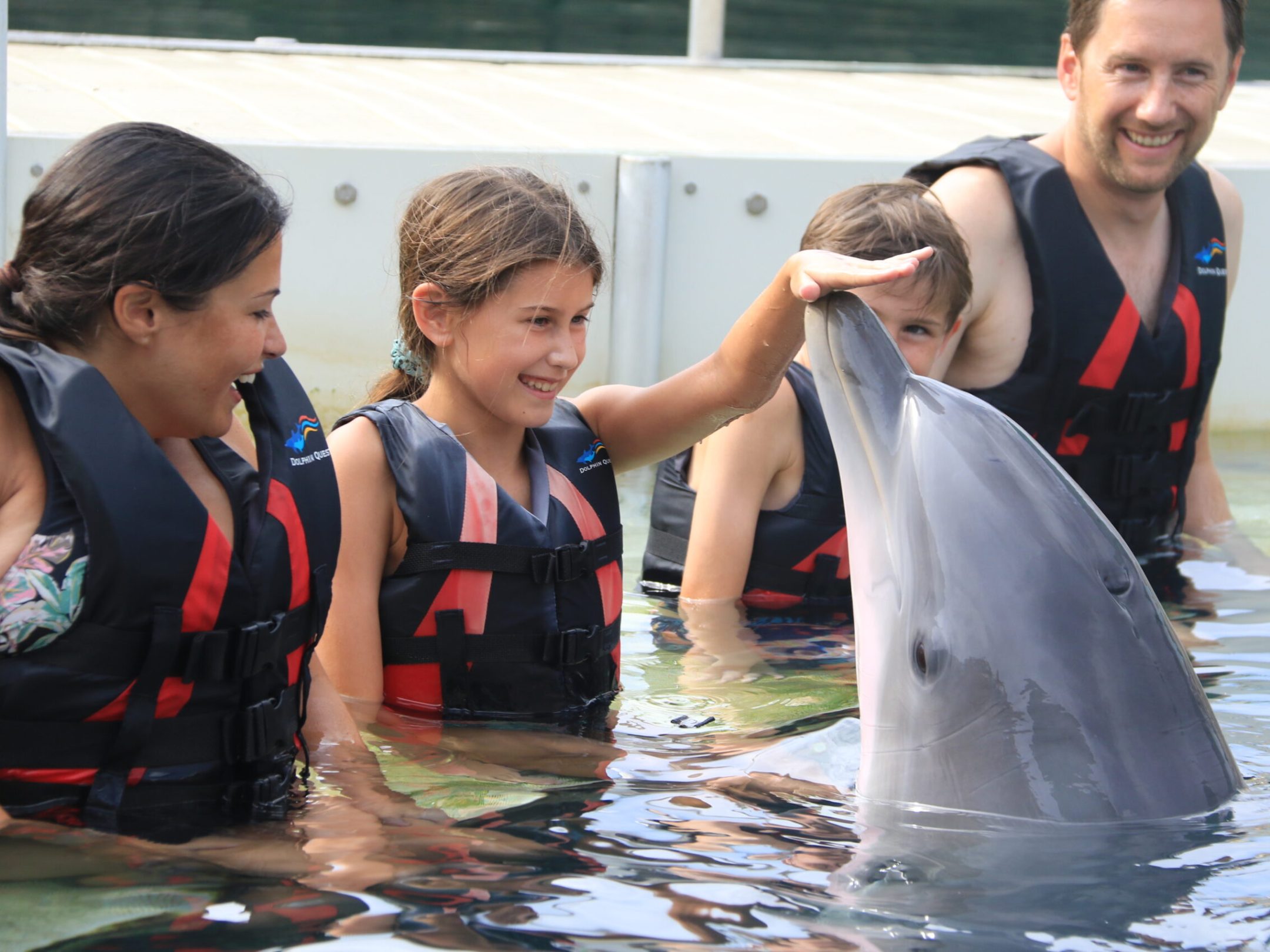 A happy family enjoying dolphin interaction.