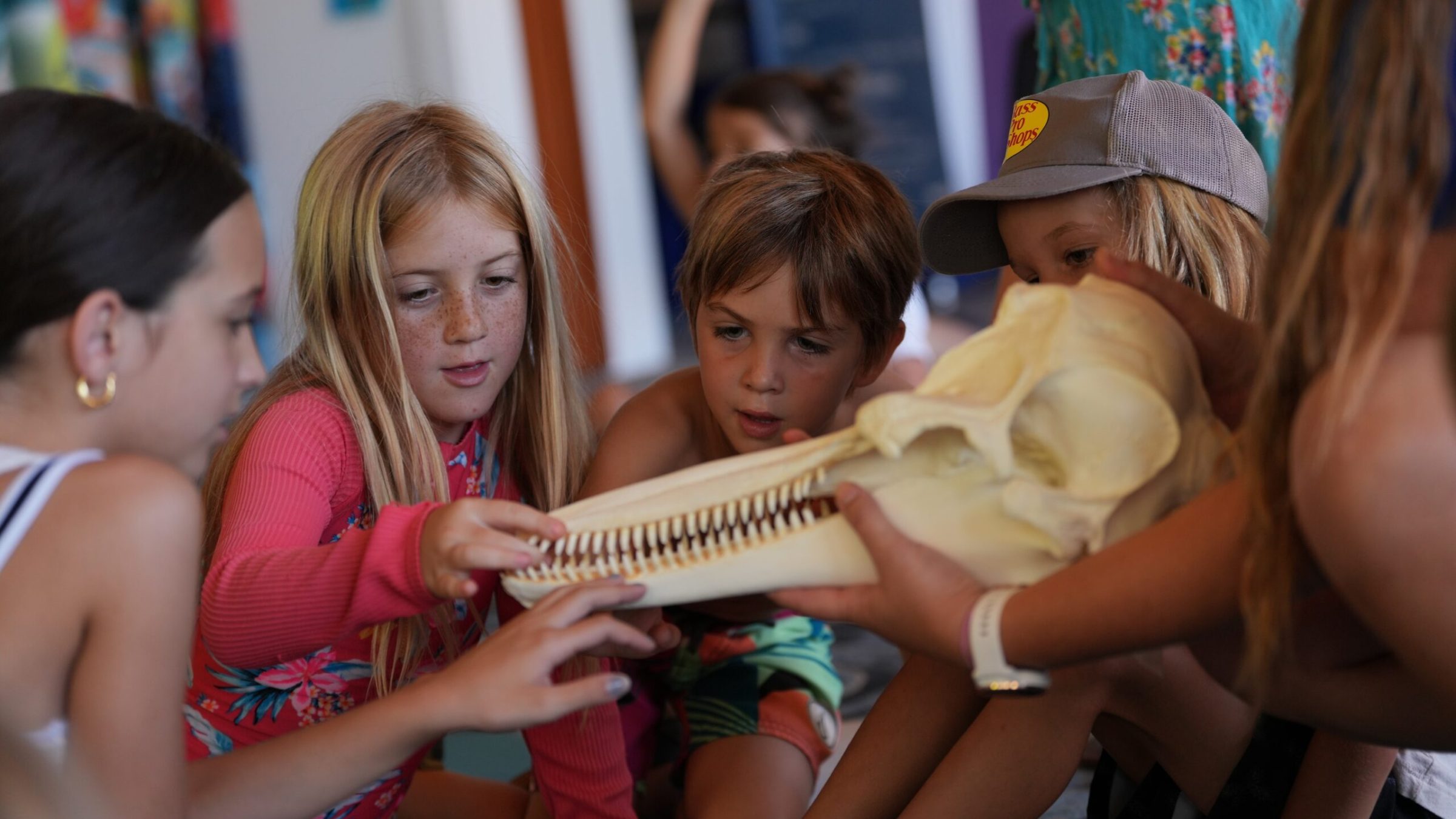 A group of little children touching the dolphin skeleton.