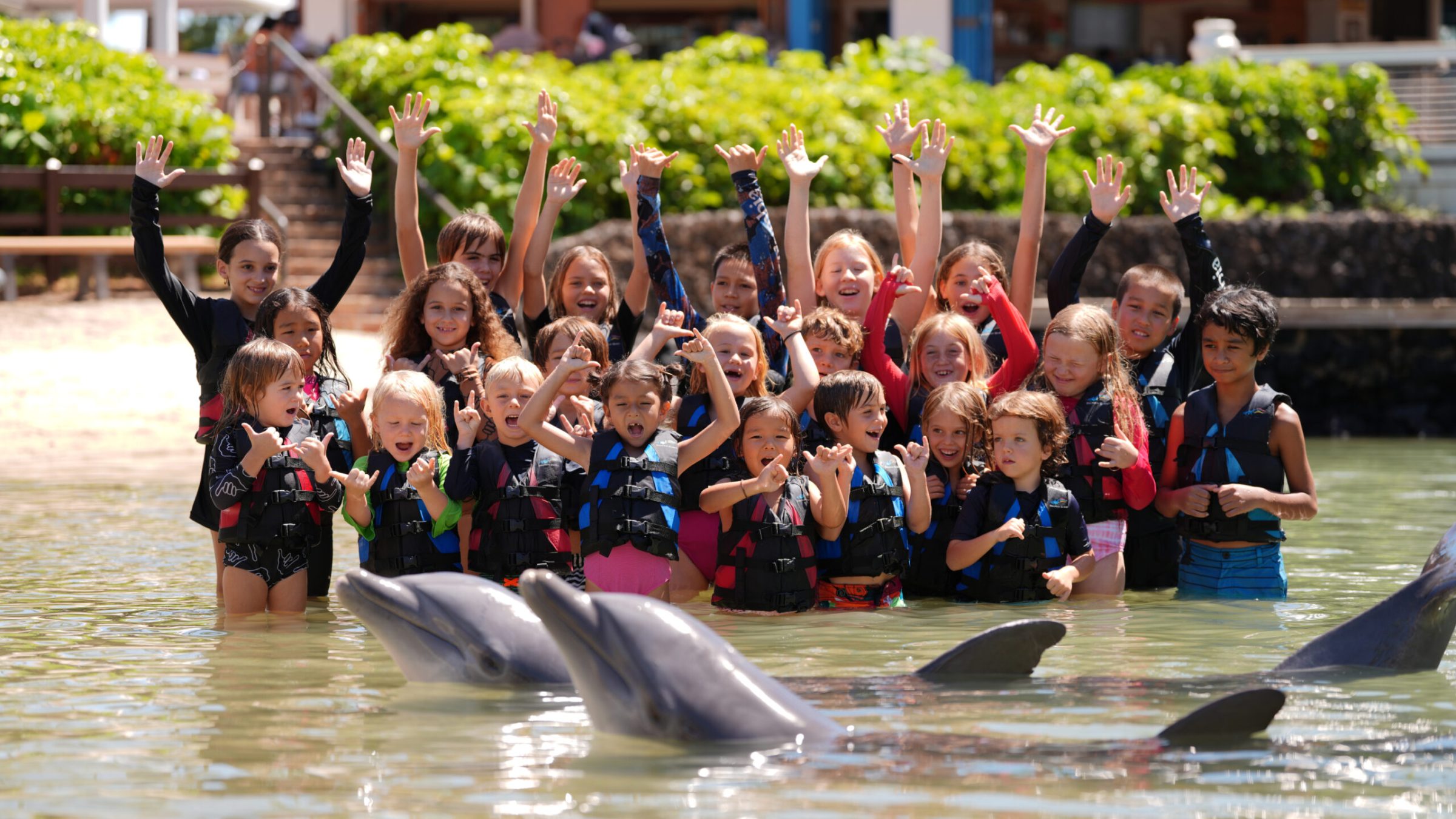 A school group compose of young kids enjoying the dolphin interaction.