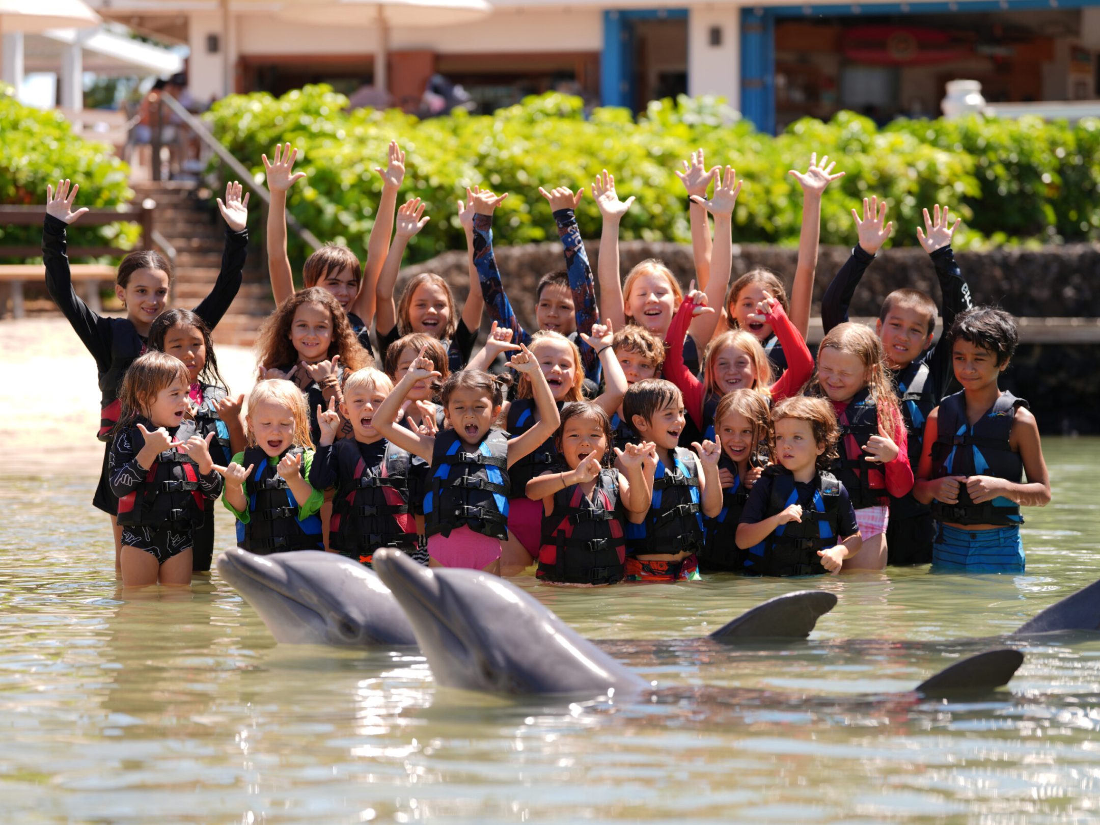 A school group compose of young kids enjoying the dolphin interaction.
