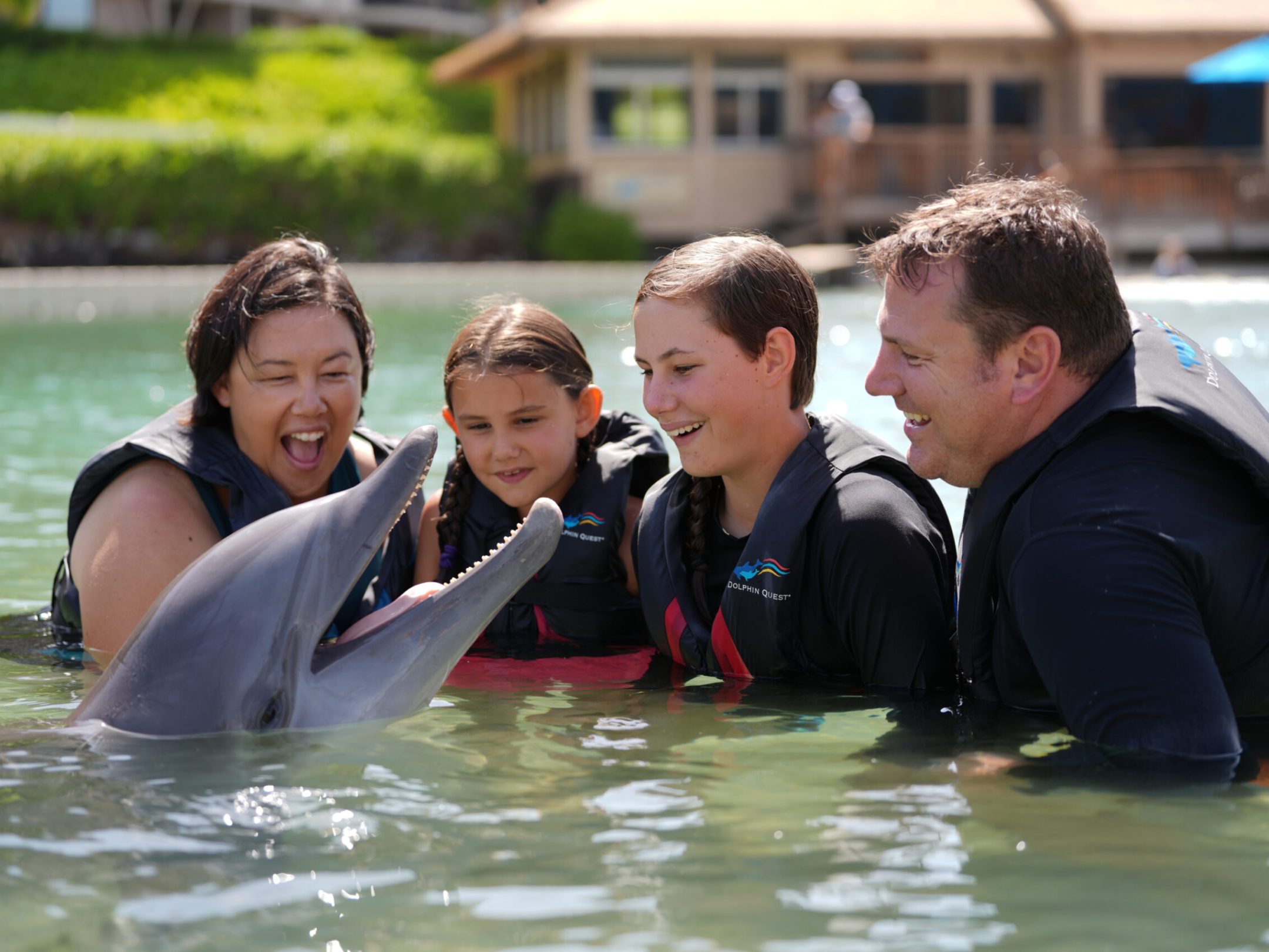 A happy family wearing wetsuits enjoying the dolphin interaction in the pool.