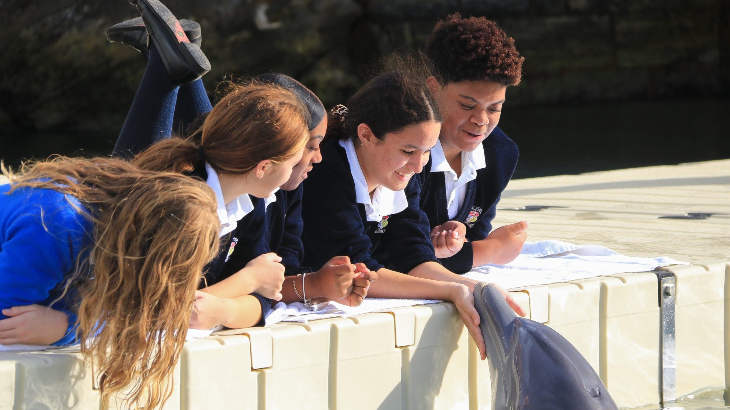 A group of young students in a field trip enjoying a dolphin interaction in the pool.