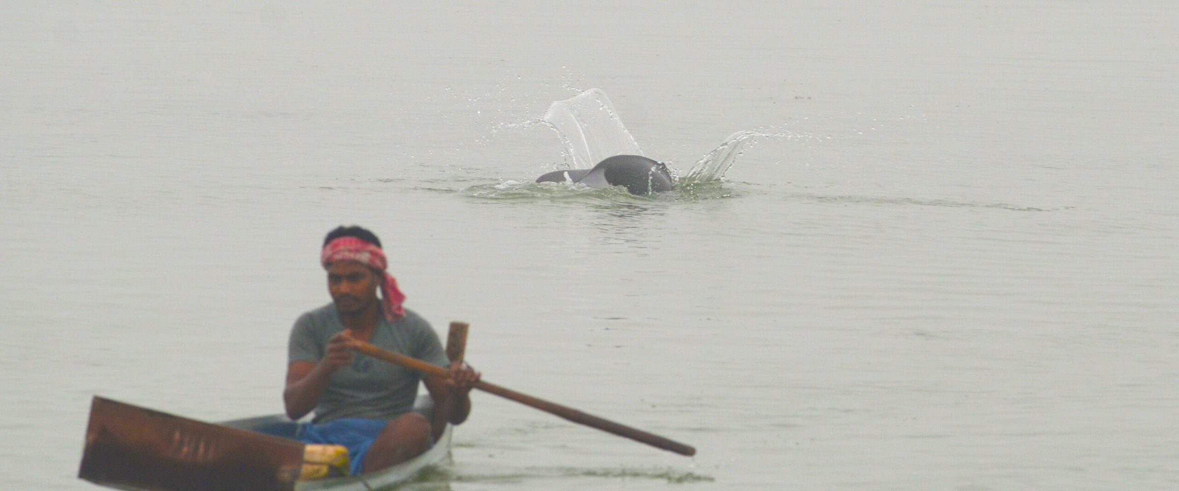 A fisherman and a river dolphin captured by Soumen Bakshi. A fisherman and a river dolphin captured by Soumen Bakshi.