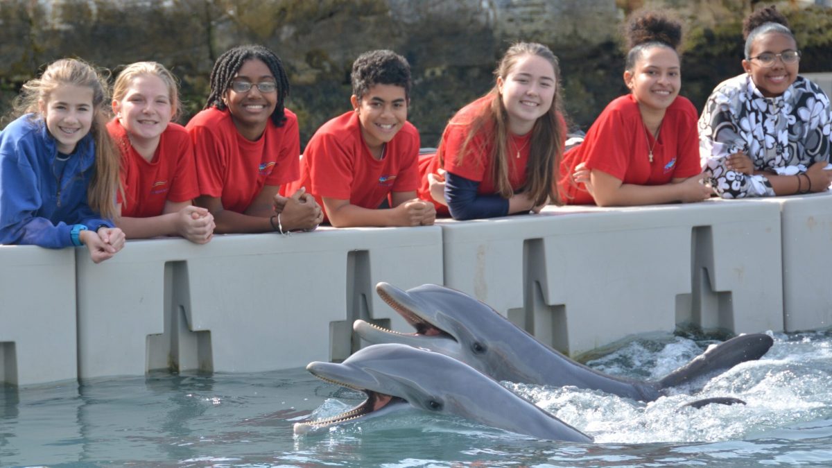 A group photo of Jr Volunteer with the dolphins in the pool.