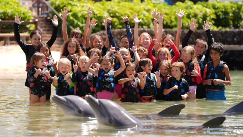 A school group compose of young kids enjoying the dolphin interaction.