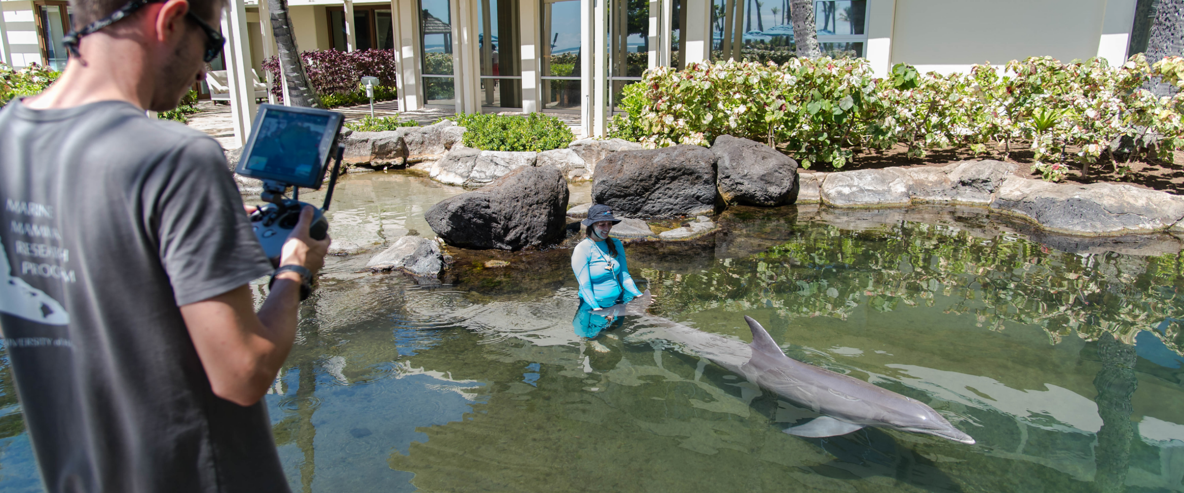 A woman joyfully rides a dolphin as someone captures the moment with a photograph.