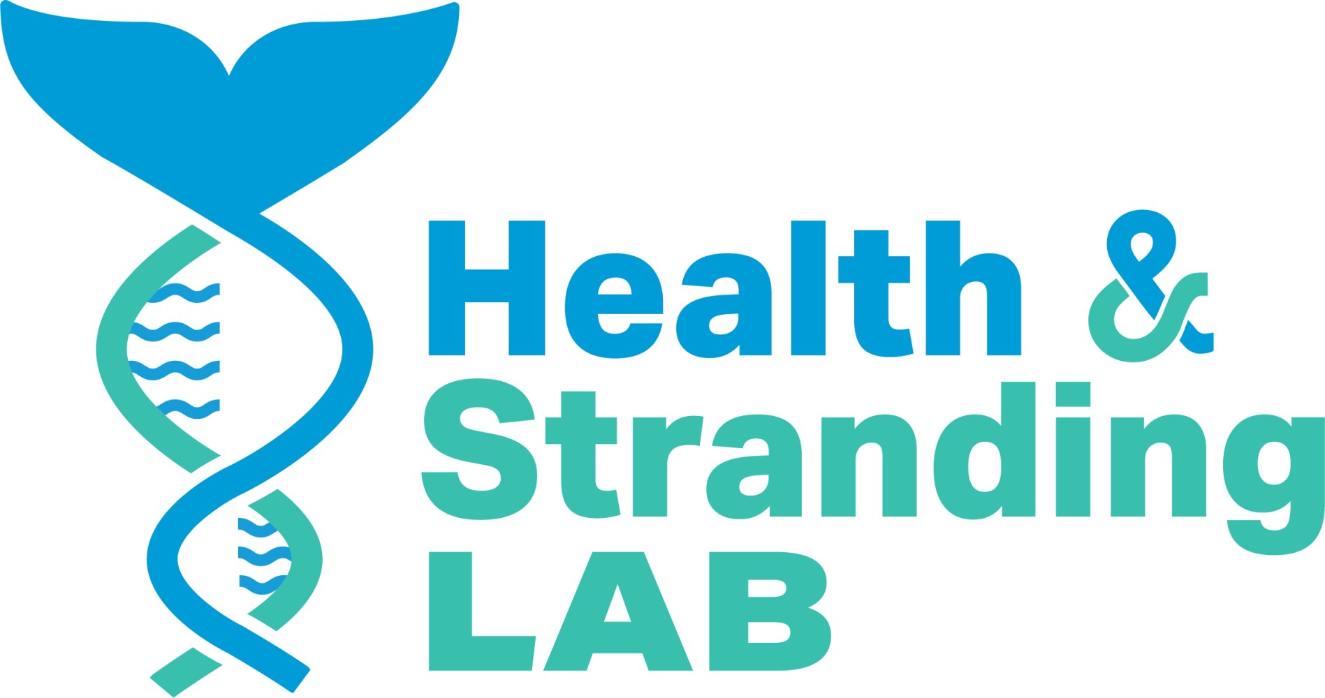 Health & Stranding LAB Logo