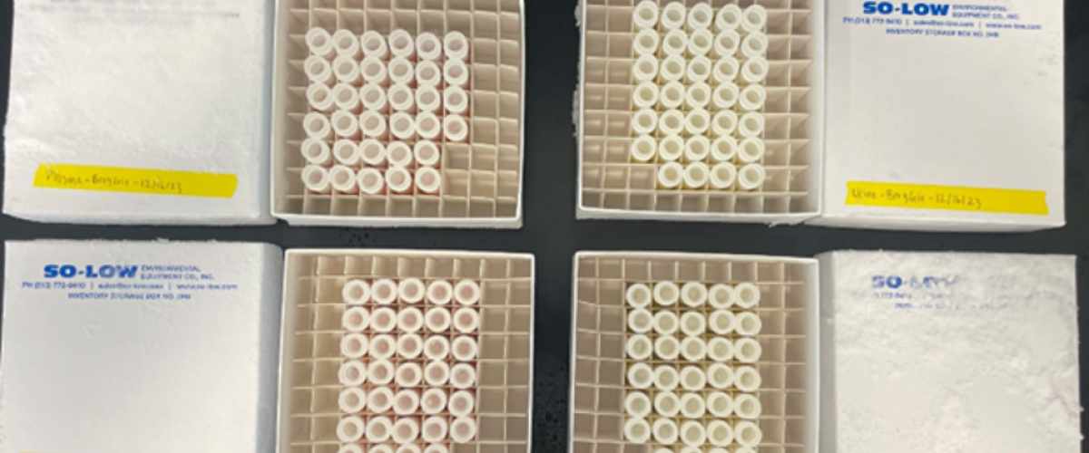 Collection of test tubes in white boxes. Collection of test tubes in white boxes.