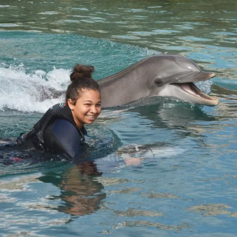 Smiling girl in wetsuit swims with dolphin in the sea.