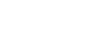 Dolphin Quest white logo
