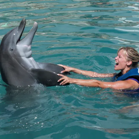 girl swimming with a dolphin holding its fins