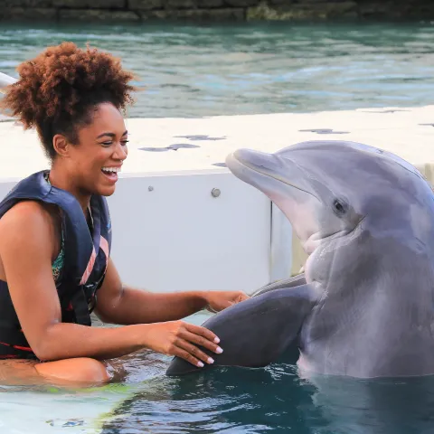girl sitting on platform holding a Dolphin's fins