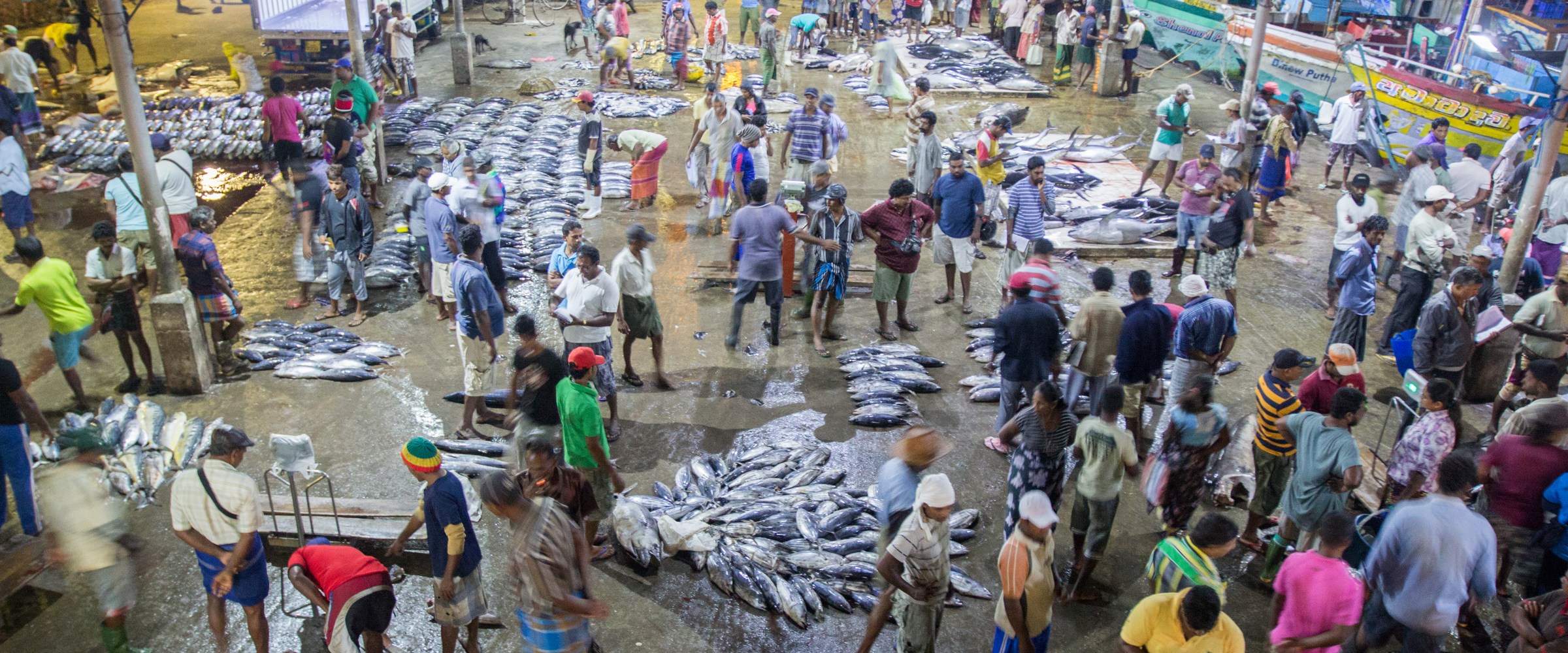 busy fishing market in sri lanka