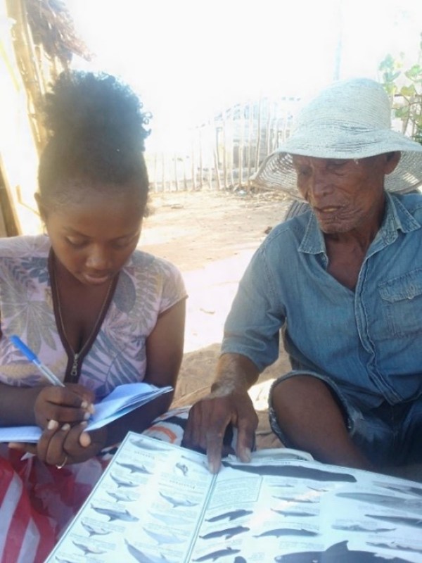 Picture3 man and a woman reviewing an African aquatic life diagram
