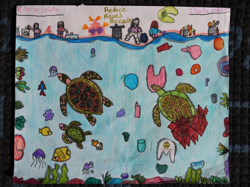 Art Contest Submission on Plastic Pollution in the Ocean
