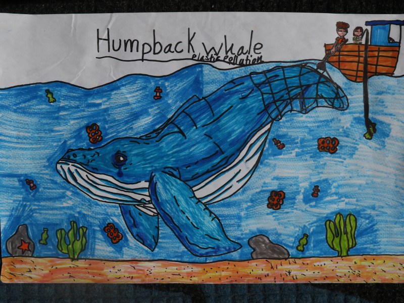 Art Contest Submission on Plastic Pollution and Humpback Whales