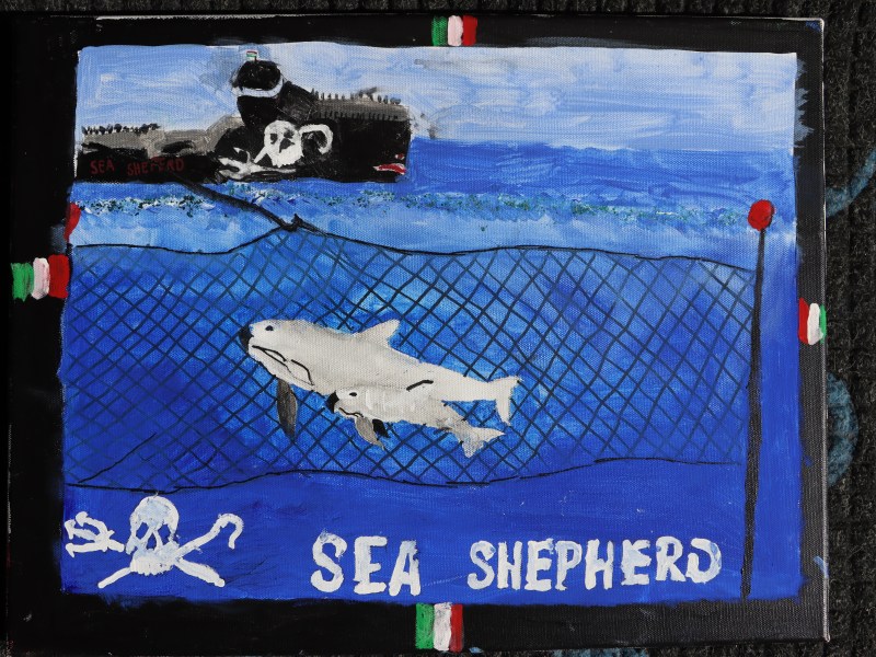 Art Contest Submission on Vaquita Conservation