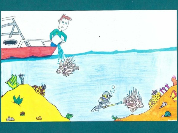 Art Contest Submission on getting rid of lionfish