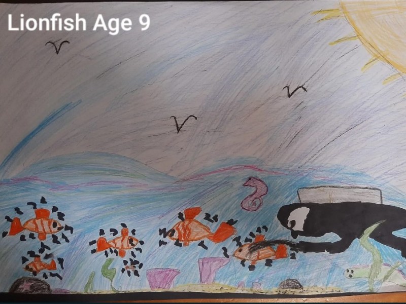 Art Contest Submission about Lionfish