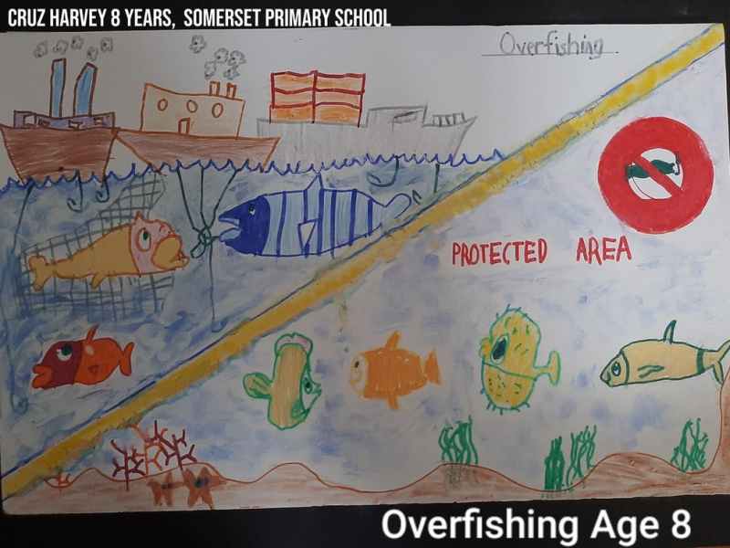 Art Contest Submission on the issue of Overfishing