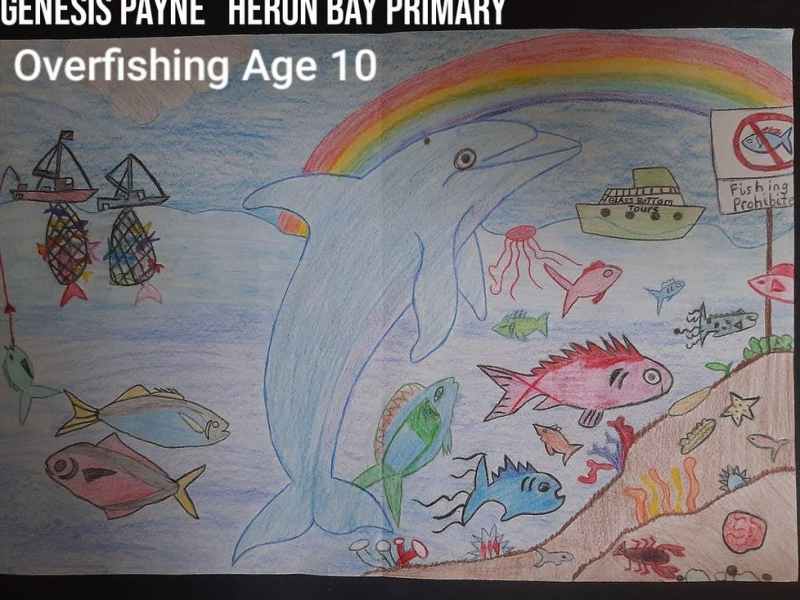 Art Contest Submission for Overfishing