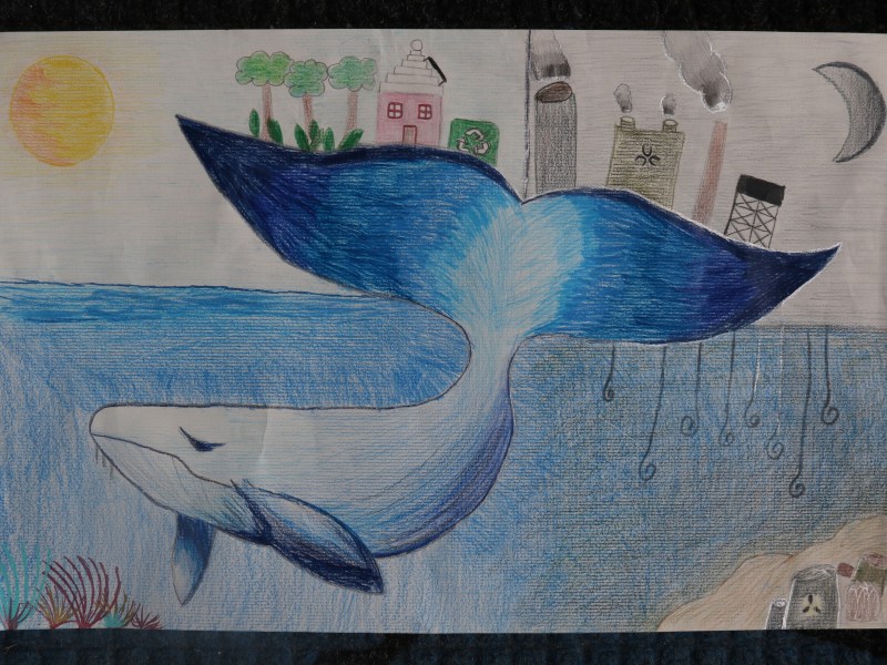 Art Contest Submission on Climate Change