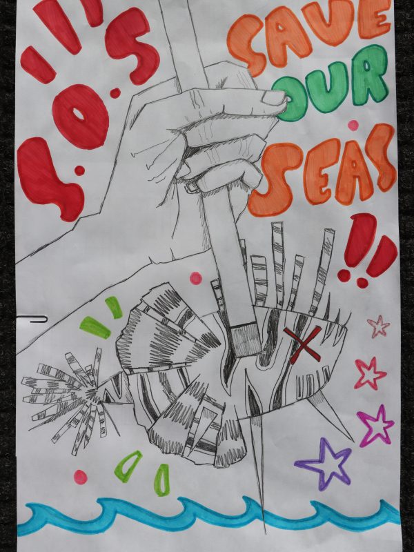 Art Contest Submission on Lionfish an Invasive Species