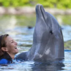 a girl holding onto dolphin fins