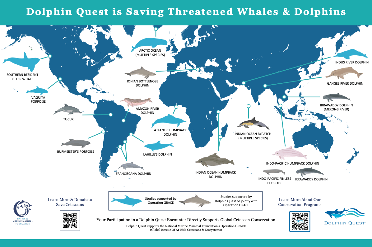 conservation map of threatened and endangered whales and dolphins