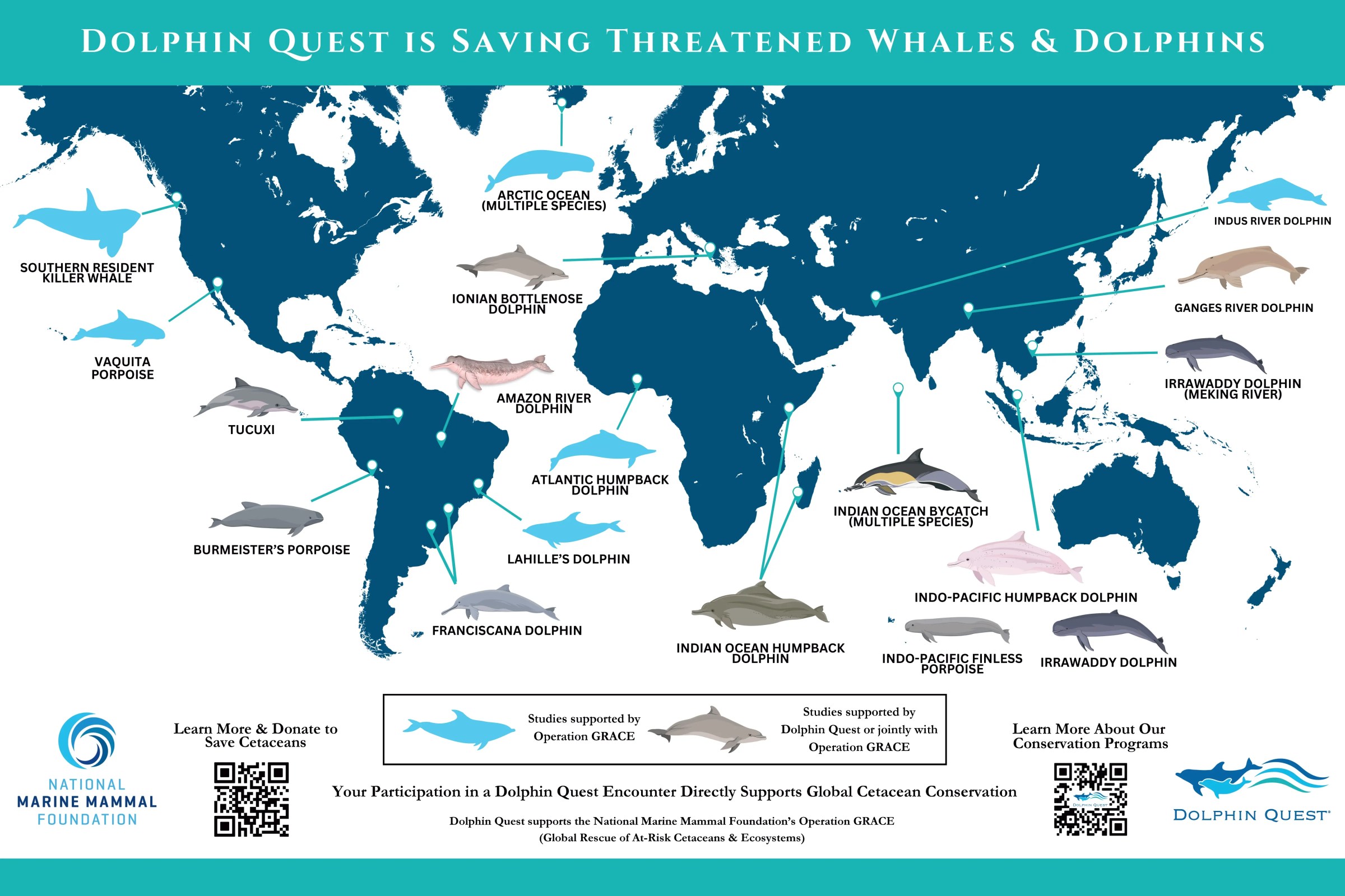 Diagram of Dolphin Quest Saving Threatened Whales and Dolphins Worldwide