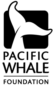 Logo showing a stylized whale tail above the words 'Pacific Whale Foundation'.