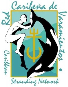 Illustration of a person with an orca and a trident, labeled 'Red Caribeña de Varamientos Caribbean Stranding Network'.