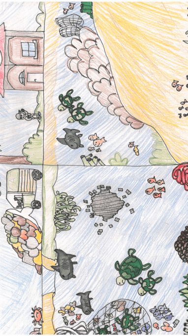 Split illustration of land pollution and ocean life, featuring turtles, fish, trash, and a house.