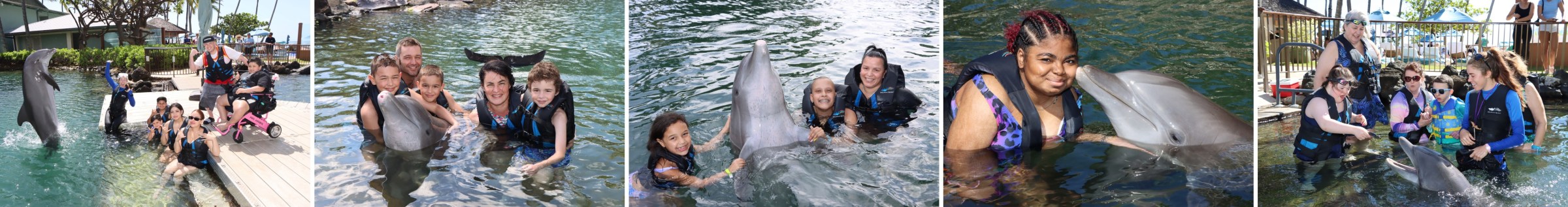 dolphin_web_friendly_large People interacting with dolphins in a pool at a marine park.