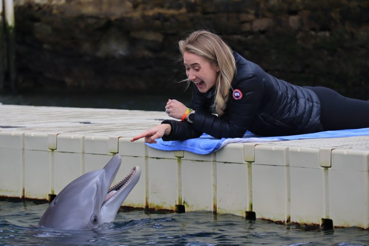Woman on dock points excitedly at a dolphin in the water.