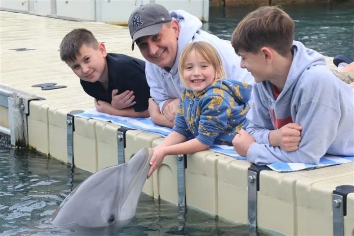 Three kids and an adult smile, leaning over a dock to touch a friendly dolphin in the water.
