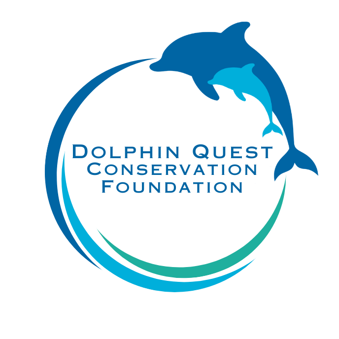 Logo with two dolphins and text: Dolphin Quest Conservation Foundation.
