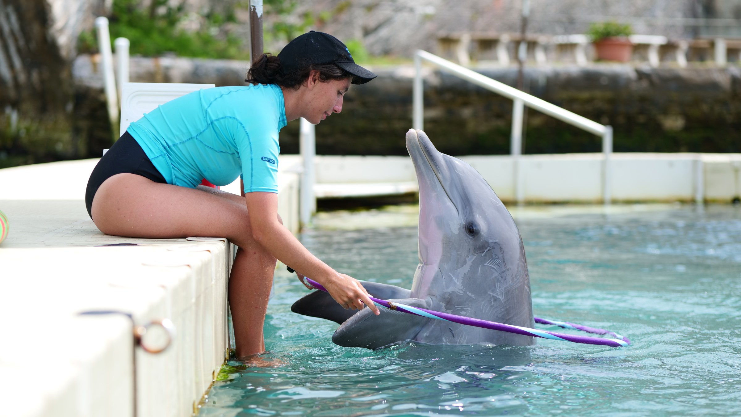 Woman in swim gear interacts with a dolphin holding a hoop at the pool's edge.