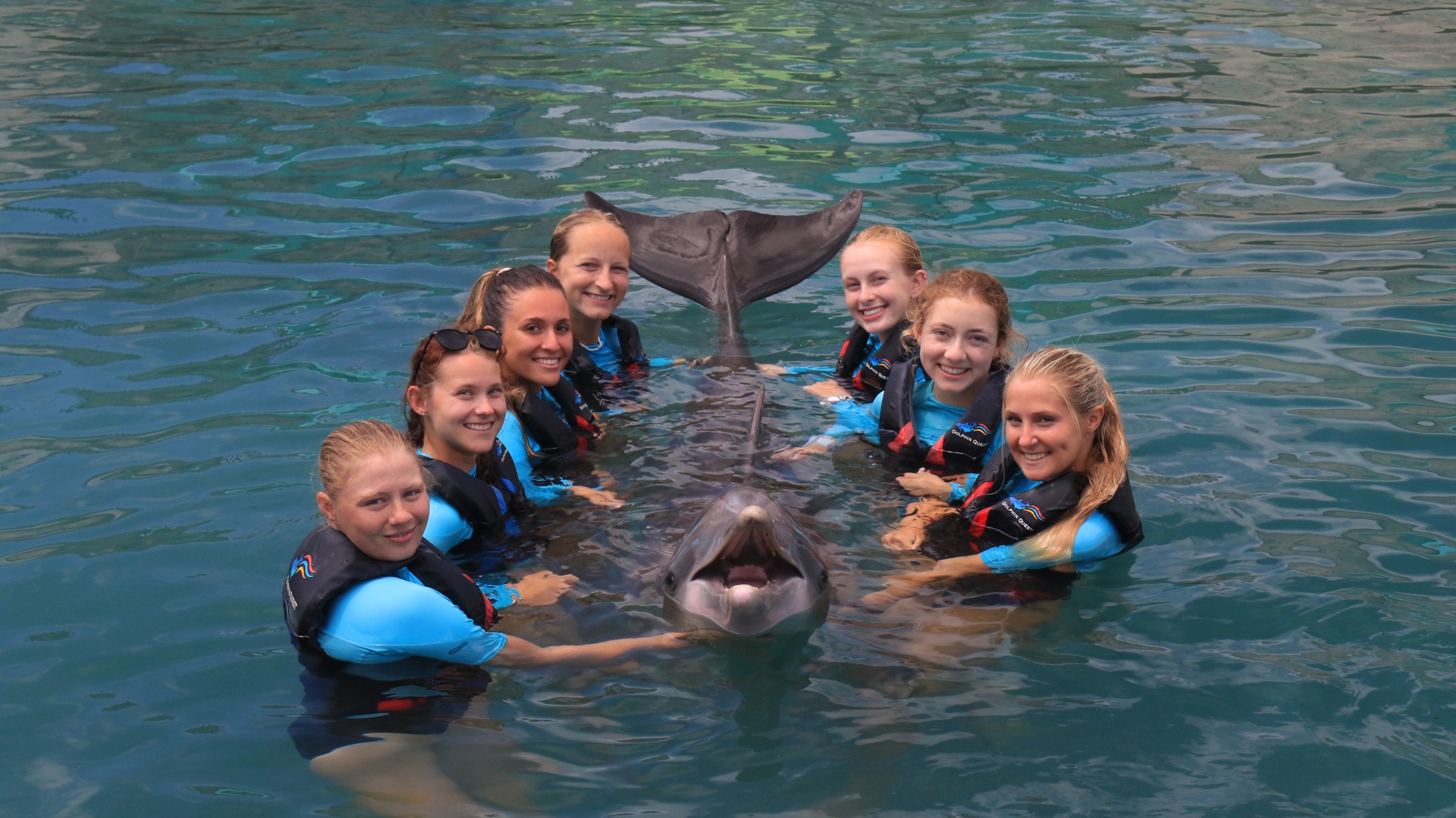 Seven people in water wearing life vests, smiling and posing with a dolphin.