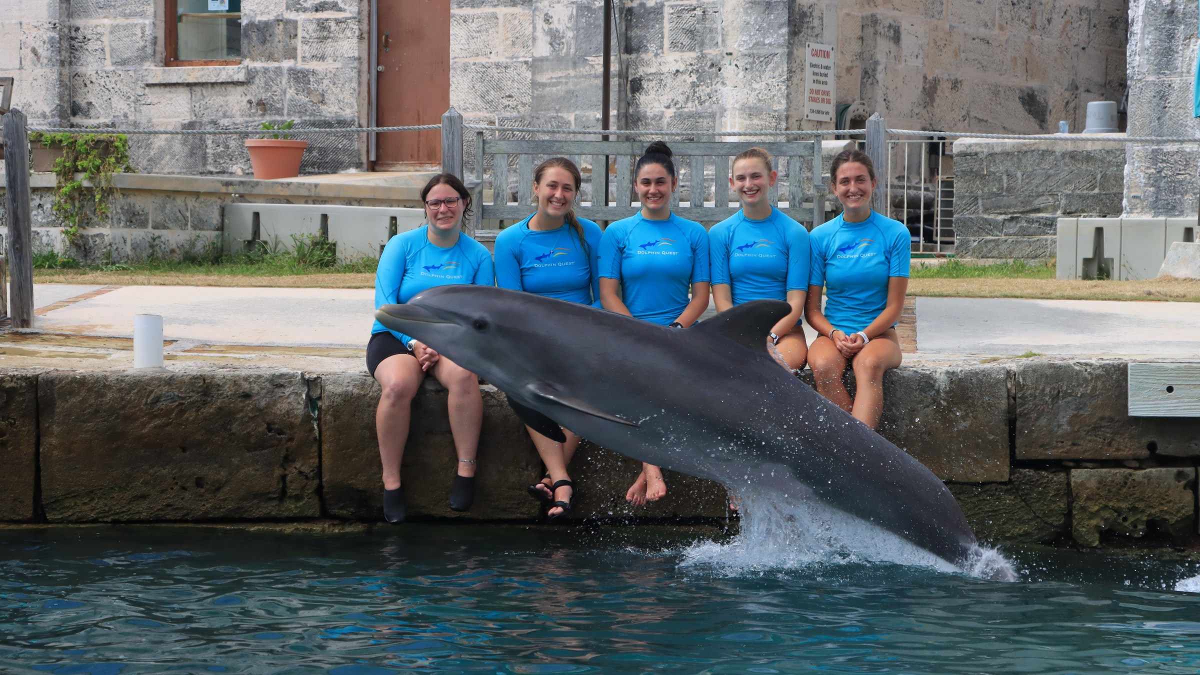 Five people in blue shirts sit on a ledge with a dolphin jumping out of the water in front.