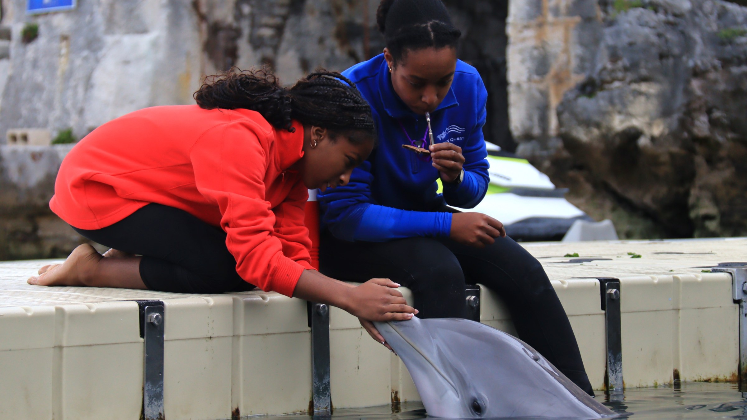 Two people on a dock petting a dolphin in the water.