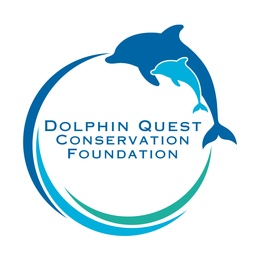 Logo with two dolphins and text 'Dolphin Quest Conservation Foundation' in blue.