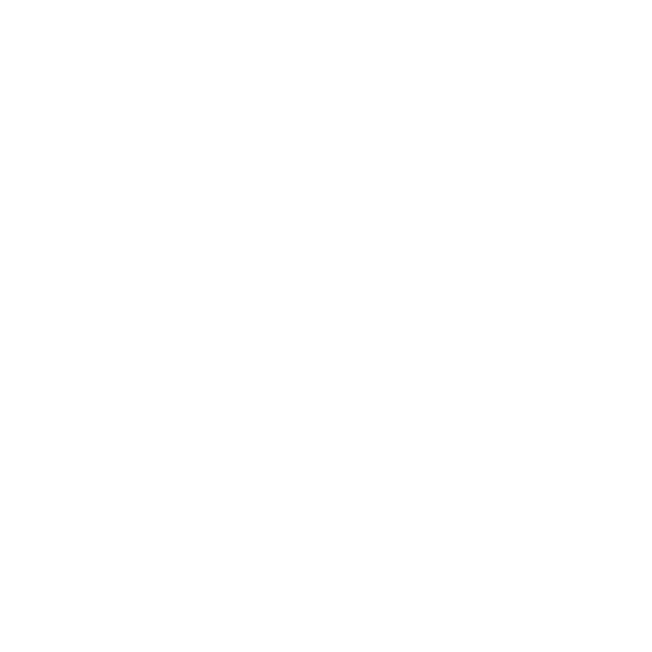 Logo: Dolphin silhouette leaping over text 'Dolphin Quest Conservation Foundation' inside a circular design.